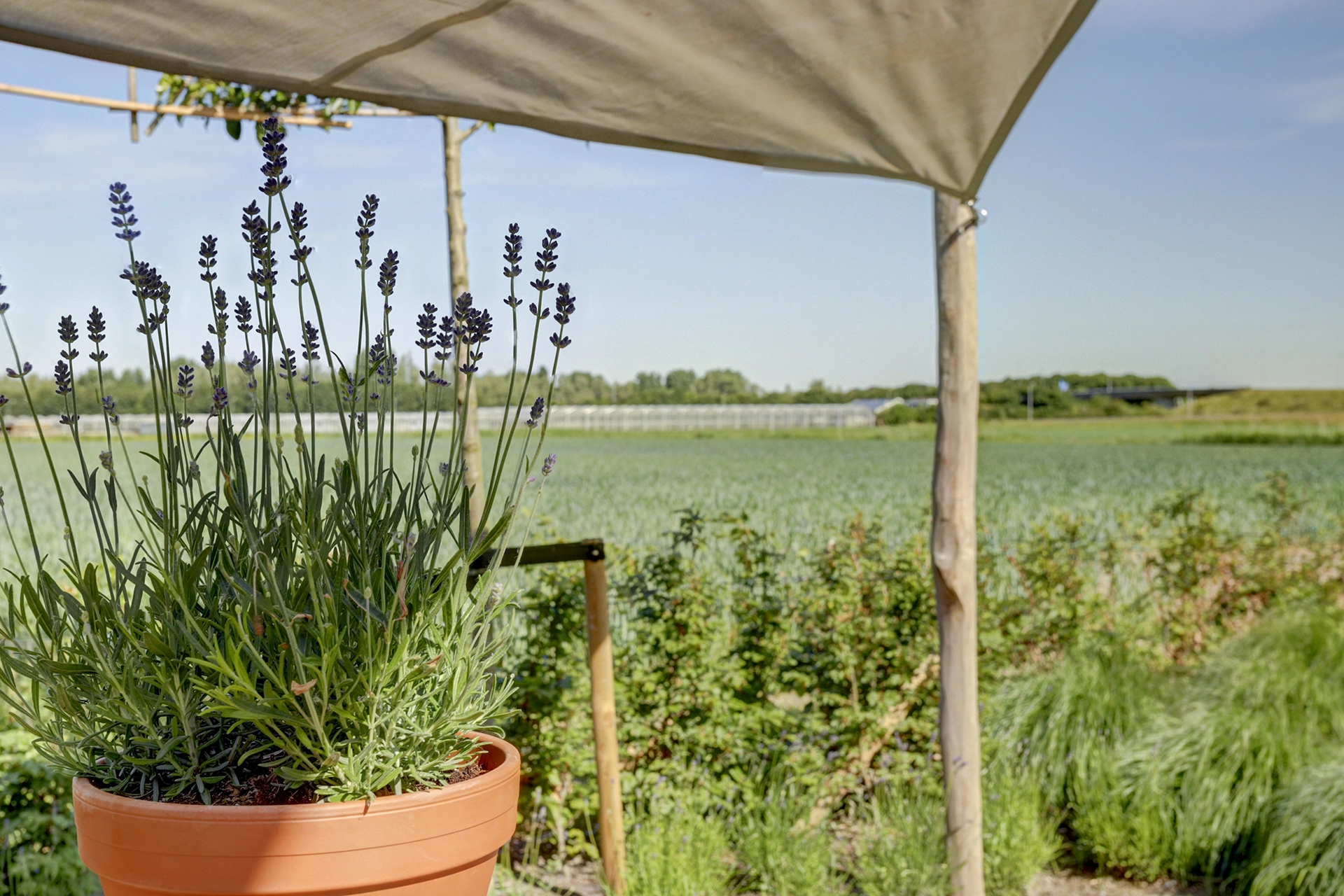 06_RIDDERKERK_2989_AH_Pruimendijk_137